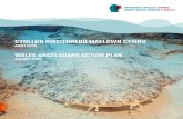 angelsharknetwork.com · Cynllun Gweithredu Maelgwn Cymru | Wales Angelshark Action Plan – 2020 02. Citation (in order of contribution) Barker, J., Davies, J., Wray, B., Sharp,