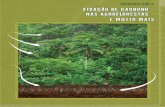 Instituto Chico Mendes de Conservação da Biodiversidade ... · Created Date: 3/15/2013 7:37:08 PM