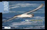 #50 οιωνός - ornithologikifiles.ornithologiki.gr/images/seabirds/Publications/0019... · 2013-04-10 · > αφιέρωμα: 2009-2012 ... Και βέβαια σημαντικές