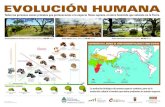 EVOLUCIÓN HUMANA - Fundación Azarafundacionazara.org.ar/.../poster-paleontologia-evolucion-humana-01.… · EVOLUCIÓN HUMANA Australopithecus afarensis (Hadar, Etiopía, África,
