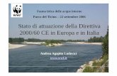 Stato di attuazione della Direttiva 2000/60 CE in Europa e ...Ampliare la protezione delle acque, sia superficiali che sotterranee Raggiungere lo stato “buono” per tutte le acque