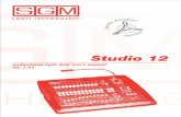 Studio 12 - MADMAN PRODUCTION · 1. Struttura del mixer Studio 12 1.1 Caratteristiche Principali Il nuovo mixer luci professionale Studio 12 SGM nasce dalla lunga esperienza nella
