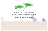 Les plantes amazoniennes - BeBooda · Les enfants ne prendront que 5 gouttes par jour. Un flacon suffit généralement au traitement, mais il est possible de poursuivre ... L’expression