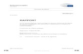 RAPPORT - europe.vivianedebeaufort.freurope.vivianedebeaufort.fr/wp-content/uploads/2017/11/getDoc.pdf · RAPPORT sur les mesures légitimes visant à protéger les lanceurs dalerte