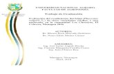 Trabajo de Graduación - UNArepositorio.una.edu.ni/3687/1/tnf30m553e.pdf · A mis hermanos Gilma Muñoz, Nelson Muñoz, Juana Muñoz, David Muñoz, Franklin Muñoz, y Jader Muñoz