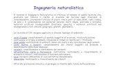 Ingegneria Naturalistica · 2020-05-06 · Ingegneria naturalistica Il termine di Ingegneria Naturalistica si riferisce all'insieme di quelle tecniche che, praticate per ridurre il