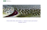 PESCARE NEL BACINO 6 “ADDA SUB LACUALE” · 2019-03-04 · Pescare nel Bacino 6 “Adda sub lacuale” – Anno 2019 4 Nella zona della confluenza dei fiumi e degli altri corsi