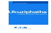 Ethics Guide - Zulu - Eaton · 1. Ukuthobela Umthetho — Sihlonipha futhi sithobela imithetho, iziqondiso, kanye nezimiso ezithinta ibhizinisi yethu emhlabeni wonke. 2. Ubuqotho