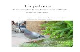 Palomas, dossier- para-ayuntamientos - SOS-Galgos · 2012-05-28 · Palomas en la casa Al ser habitantes de cortados rocosos, las palomas prefieren procrear en lugares elevados, como