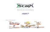 inta do SCAP Plus...Controle de Cobranças (boletos, recibos, débito em conta e cartão de crédito); Controle de Comissões de Vendas (assinaturas, publicidades, materiais,