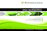 DNA Methylation Brochure 8 12 15 copy - Caltag Medsystems...The MethylFlash™ Methylated DNA (5-mC) Quantiﬁ cation Kit (Colorimetric)* is a complete set of optimized buffers and
