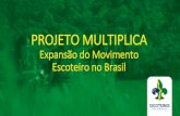 PROJETO MULTIPLICA Expansão do Movimento Escoteiro no Brasil€¦ · modelo de Unidade Escoteira Local baseada em uma estrutura próxima do modelo atual de Seção Escoteira Autônoma.
