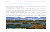 4. DECLARACIÓN Y PLANIFICACIÓN 4.1 ... - Junta de Andalucía · Se trata, en su conjunto, de los Planes de Ordenación de los Recursos Naturales (PORN), los Planes Rector de Uso