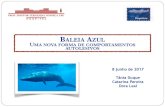 BALEIA AZUL UMA NOVA FORMA DE COMPORTAMENTOS … · Fenómeno de baleias encalhadas, existindo a crença de que são suicidas. A baleia-azul (Balaenoptera musculus) pode chegar a