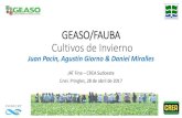 GEASO/FAUBA Cultivos de Invierno · 2020. 6. 9. · El Problemita de la calidad Sólo el 75% del N disponible llega a ser Absorbido, de modo que: 25 kgN absorbido son 33,3 kgN/Ton