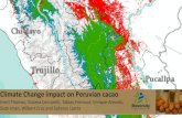 Sixto Iman, Wilbert Cruz and Sphyros Lastra Evert …peru-cacao-diversity.org/wp-content/uploads/2020/02/...Climate Change impact on Peruvian cacao Evert Thomas, Viviana Ceccarelli,