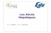 Les Abcès Hépatiques · 2020. 6. 8. · Les Abcès Hépatiques • Objectifs pédagogiques 1. Diagnostiquer un abcès du foie 2. Différencier entre un abcès a pyogène et une