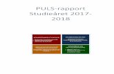 PULS-rapport Studieåret 2017- 2018 · hovedsak positivt av deltakerne, både med hensyn til informasjon og oversikt over innhold. Av forbedringspunkter ved bruk av Canvas er hvordan