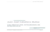 Juan José Caballero Muñoz - Webnode · 2011. 2. 22. · Juan José Caballero Muñoz Los Proyectos Integrados de aprendizaje Página 8 Las tareas que se agrupan en torno al Proyecto