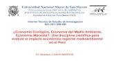 Universidad Nacional Mayor de San Marcos · 2017. 2. 3. · Universidad Nacional Mayor de San Marcos (Universidad del Perú, DECANA DE AMÉRICA) INSTITUTO DE INVESTIGACIONES ECONOMICAS