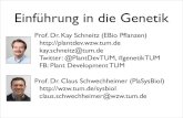 Einführung in die Genetikplantdev.bio.wzw.tum.de/fileadmin/media/pptLecture...Einführung in die Genetik - Inhalte 1 Einführung 15. 10. 13 KS 2 Struktur von Genen und Chromosomen