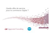Quelle offre de service pour le commerce Digital · 2013. 7. 13. · Source: Capgemini Consulting-MIT Analysis – Digital Transformation: Intensité du management de la Transformation