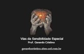 Vias da Sensibilidade Especial - Gerardo Cristinogerardocristino.com.br/novosite/aulas/Neuroanatomia/Aulas/Outras/… · Vias da Sensibilidade Especial Trato e estrias olfatórias