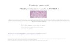 Nebennierenmark (NNM) · Nebennierenmark (NNM) ©2004 Prof. G. A. Spinas, Prof. Ph. U. Heitz Seite 5 von 17 Katecholamine Synthese der Katecholamine • das NNM produziert Katecholamine