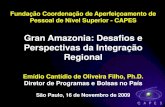 Gran Amazonia: Desafios e Perspectivas da Integração Regional · Bolsas de Estudo no País: Execução Orçamentária Milhões de Reais, 2004 a 2009* Ações: Bolsas de Estudo no