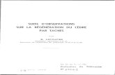 Suite d'observations sur la régénération du cèdre par tacheshorizon.documentation.ird.fr/exl-doc/pleins_textes/... · 2013. 10. 16. · 3 SUITE D'OBSERVATIONS SUR LA RÉGÉNÉRATION