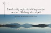 Bærekraftig regionalutvikling – noen trender i EUs ... · Bidrar til å trygge arbeidsplasser, etablering av ny virksomhet og infrastruktur for offentlig og privat sektor Gir tilgang