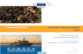CASESTUDIE FRISKE MUSLINGER I EUFriske+mu… · Frisk musling (hel) Akvakultur og fangst (EU) Friskt produkt Opdrættes flere steder i EU, i både sydlige og nordlige medlemslande