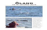 Öland - WordPress.com · 2016. 3. 3. · Öland 16-19 oktober 2015 Vi stannade till vid Figeholms hamn strax norr om Oskarshamn och fick se två stycken öresvin. Efter att vi sett