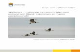 Sjöfåglars utnyttjande av havsområden runt Gotland och Öland: …lnu.diva-portal.org/smash/get/diva2:1176542/FULLTEXT01.pdf · 2018. 1. 22. · Sida 1. Sammanfattning 3 2. Inledning