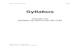Syllabus - BVD advocaten€¦ · Syllabus aandelenexecutie pagina 3 I. Het reguliere aandelenbeslag (op aandelen op naam in een NV of BV) Inleiding Het reguliere aandelenbeslag zoals