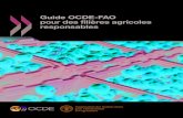 Guide OCDE-FAO pour des filières agricoles …L’OCDE et la FAO ont élaboré ce Guide pour aider les entreprises à respecter les standards existants de conduite responsable des