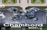 Dossier de presse - Château de Chambord€¦ · Dossier de presse . 2 DOMAINE NATIONAL DE CAMBORD Chambord, une cité idéale 500 ans après, 9 projets pour 2019 chambord.org Introduction