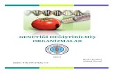 GENETİĞİ DEĞİŞTİRİLMİŞ ORGANİZMALAR · 2016. 10. 27. · Genetiği Değiştirilmiş Organizmalar HASUDER 2013 Sayfa 1 1. GİRİŞ Genetiği değiştirilmiş organizma (GDO),
