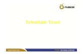 Selenium Yeast - ICFoodicfood.vn/home/wp-content/uploads/2014/01/Selenium-Yeast.pdf · Ô nhiễm môi trường nhiều Item Selenium yeast Selenium vô cơ Phương thức hoạt