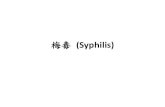 梅毒 (Syphilis)¢…毒 (Syphilis)1.pdf · Introduction •Syphilis (梅毒) –Pathogen：Treponema pallidum (梅毒螺旋體) –Mode of transmission： •Transfusion of blood