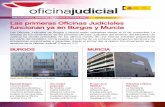 PUBLICACIÓN DEL MINISTERIO DE JUSTICIA Noviembre 2010 ... … · Del mismo modo que el Protocolo Marco de Actuación Procesal, elaborado por el Ministerio de Justicia para . garantizar