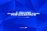F-SECURE CLOUD PROTECTION FOR SALESORCE...F-Secure Cloud Protection for Salesforce 3 1. 概要 F-Secure Cloud Protection for Salesforce は Salesforce プラットフォームが備えるネイティブなセキュリティ機能