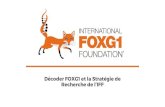 Recherche de l’IFF Décoder FOXG1 et la Stratégie de€¦ · Le cerebrum est ce qui nous rend humain. C’est la partie la plus grande et la plus importante du cerveau. Il contrôle