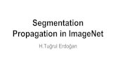 Propagation in ImageNet Segmentationnazli/courses/bil722/... · 2014. 5. 30. · bulunan sınıflar ve yeni sınıflarla bağlantılı eski sınıflar alt kümesinde çalışma En
