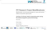 FP7 Research Project MetalMorphosis · Optimization of joining processes for new automotive metal-composite hybrid parts . ... –increased use of composites in the automotive industry