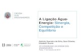 A Ligação Água- Energia: Sinergia, Competição e Equilíbrio · A Ligação Água-Energia: Sinergia, Competição e Equilíbrio XX CONGRESSO DA ORDEM DOS ENGENHEIROS Porto, 17