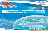 VERWELL CAMEROON CABLES NGINEERING S.A.everwell-engineering.com/wp-content/uploads/2019/03/...E V E R W E L L C A M E R O O N C A B L E S I N T R O D U C T I O N ounded in 2016, Everwell