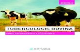 TUBERCULOSIS BOVINA - Argentina · TUBERCULOSIS BOVINA CÓMO RECONOCERLA Y PREVENIRLA •Separe las crías de las vacas positivas de aquellas negativas y suminístreles calostrado