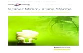 Grüner Strom, grüne Wärme - bachmann. · 2012. 3. 13. · 3 enertec - Kraftwerke GmbH die Hälfte der Brennstoffenergie ungenutzt als Abwärme in die Außenwelt abgegeben. Wird