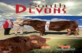 Oorsese gaste beïndruk met SA beeste - South Devon Devon_2018.pdfWinston South Devon Stud 5 Johstep South Devons 11 Bellary South Devons 15 Percivale South Devons 27 Magpela South
